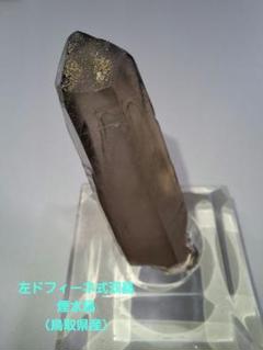 【貴重】煙水晶 左ドフィーネ式双晶 鳥取県 鉱石 原石 国産 貴重】煙水晶 左ドフィーネ式双晶 鳥取県 鉱石 原石 国産 - メルカリ