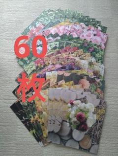新聞ストッカー 新聞収納袋 新聞保管袋 （新聞保存袋）新聞回収袋　60枚のサムネイル