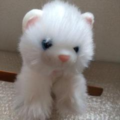 たけのこ ぬいぐるみ ペルシャネコ ジョイフルメイト
