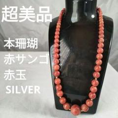 ひ572 超美品　本珊瑚　赤サンゴ　丸玉　SILVER ネックレス