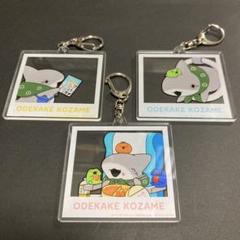 おでかけ子ザメ JR-PLUS POP UP アクリルキーホルダー 3個セット