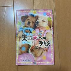 一期一会 　全30冊、天国犬への手紙 Amazon.co.jp: 天国犬への手紙: 世界一のスキ。 (一歩一歩