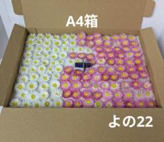 よの22 姫貝細工ドライフラワーのサムネイル