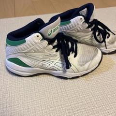 ASICS バスケットボールシューズ　グリーン　バッシュ　キッズ　22cm