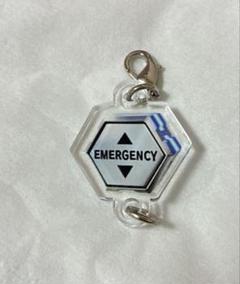 エヴァンゲリオン アクリルチャーム　 【白×黒線】　未来への咆哮