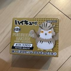 ハイキュー!! ぬーどるストッパーフィギュアぷち ボクトフクロウ