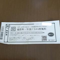 スタジオマリオ 無料券