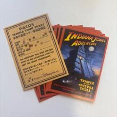 チャレンジャー証明書 ストームライダー ディズニーシー 東京ディズニーシー 大人数の方お得‼️ アトラクション