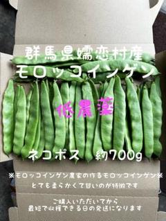 モロッコインゲン・モロッコいんげん 低農薬 - メルカリ