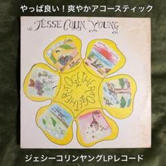 ［名盤］ジェシーコリンヤング　トゥゲザーLPレコード　フォーク　ロック　ブルース