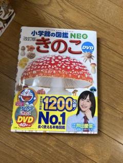 海外キノコ関係書籍　6冊セット 日本のきのこ (山溪カラー名鑑) | 今関 六也 |本 | 通販 | Amazon