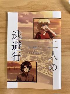 二人の逃避行(機動戦士ガンダム seed freedom)後藤リウ著