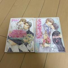水上ルイ 天使は里層の花嫁 & オペラ座の花嫁