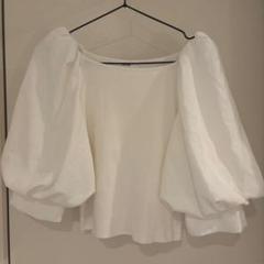 バルーン袖ドッキングニット