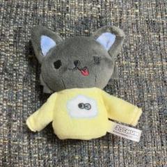 ピーハイ JOCHUM まとめ売り JOCHUM☆ピーハイ☆まとめ売り