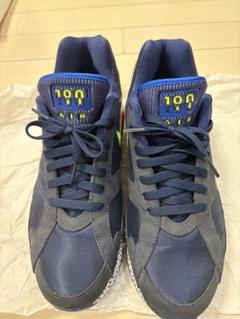 NIKE AIR 27センチ