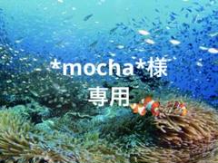 エンビロンCクエンスセラム4 プラス　ラドシールドミネラルさんさスクリーン エンビロン / ラドシールドミネラルサンスクリーンの公式商品