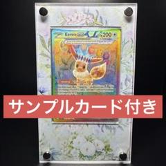 ポケモンカード ミュウ イーブイ カードディスプレイフレーム