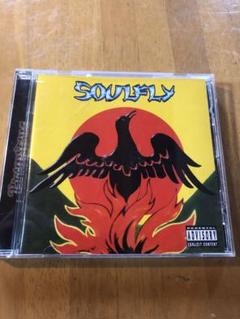 2025年最新】中古 Soulfly ソウルフライの人気アイテム - メルカリ