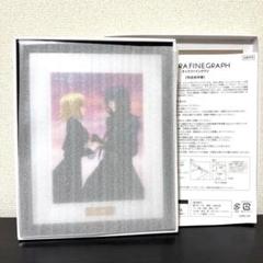 新品★アスラン カガリ ヨドバシ キャラファイングラフ
