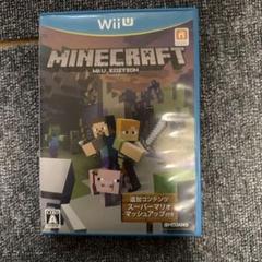 MINECRAFT: Wii U EDITION マリオカート8