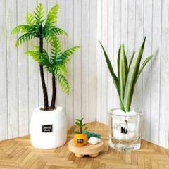 ミニチュア観葉植物セットHのサムネイル