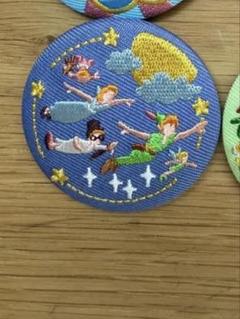 ディズニー 刺繍缶バッジ