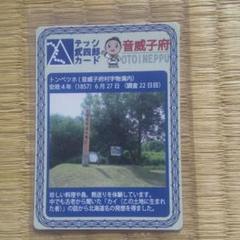 テッシ武四郎カード 音威子府