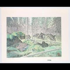 【真作】木版画　壬生川純一「倒木の森」限定ナンバー付き！ 真作】木版画 壬生川純一「倒木の森」限定ナンバー付き！ - メルカリ