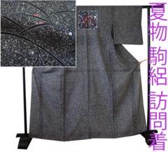 値下げ交渉OK！夏物 駒絽 黒地 たたき染 訪問着 正絹 B223