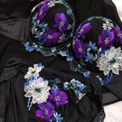 salute サルート 81G 81グループ　セット D70 M　 PU 000000001555_2SSag03.jpg