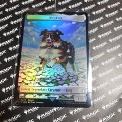 MTG FF ANGLEO/DARKSTAR 【foil】英語版