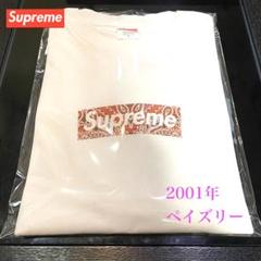 【希少】2001年 Box Logo Tee ペイズリー柄 ボックスロゴ 初期