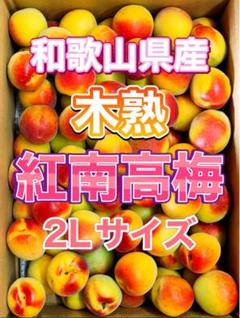 数箱限定‼️少し早い木熟南高梅　大玉傷あり4L3Lサイズ　5kg みかんキング 2025年最新】みかんキングの人気アイテム - メルカリ