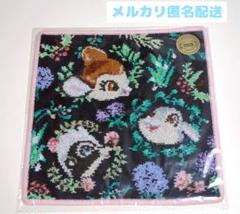 フェイラー　超貴重バンビ Amazon.co.jp: フェイラー ツンツンバンビーノ バンビ ピンク