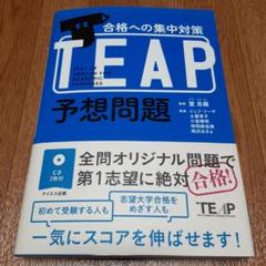 TEAP予想問題