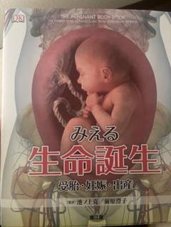 みえる 生命誕生 受胎・妊娠・出産 - メルカリ