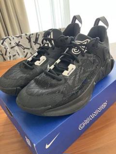 Amazon.co.jp: NIKE ナイキ 29.0cm ヤニス イモータリティ 2 EP