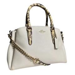 COACH コーチ　2way ハンドバッグ　手提げバッグ　パイソン