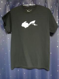 fragment thunderbolt project ピカチュウーT M