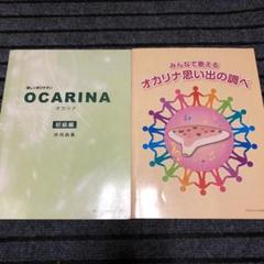 2025年最新】オカリナライリッシュの人気アイテム - メルカリ