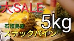 【大SALE】石垣島のスナックパイン5kg(サイズ/個数おまかせ)