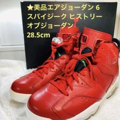 ⭐️美品エアジョーダン 6 スパイジーク ヒストリーオブジョーダン 28.5cm