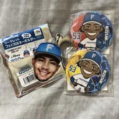 水谷瞬　SR 侍　ガチャ ファイターズ ananコラボ スナップ風キーホルダー 田宮裕涼 水谷