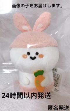 Amazon.co.jp: お文具といっしょ お文具さん あにまるぱんつ