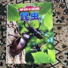 NEW WIDE 学研の図鑑 昆虫