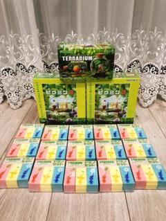 ピクミン ジグソーパズル テラリウムコレクション ドミノセット ピクミン ジグソーパズル テラリウムコレクション ドミノセット