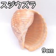 2025年最新】うずら 置物の人気アイテム - メルカリ