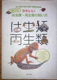 写真でわかるかわいいは虫類・両生類の飼い方
