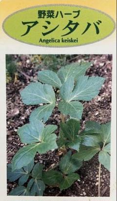 Natural farming 七田式 腸脳相関 菌活 食養生 自然栽培野菜